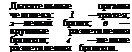 Подпись: Дыхательные органы че-ловека: 1 —трахея; 2—ле-вый бронх; в — крупные разветвления бронхов; 4 —мелкие разветвления бронхов.